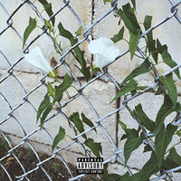 Cody Pope - Champagne & Swill (Explicit)