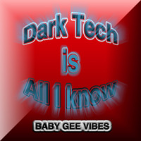 BABY GEE VIBES - Dark Tech is All i know