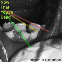 Spirit in the Room - Now That You're Dead