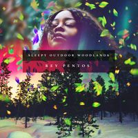 Rey Pentos - Sleepy Outdoor Woodlands