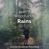 Outside Broadcast Recording - Rolling Woodland Rains