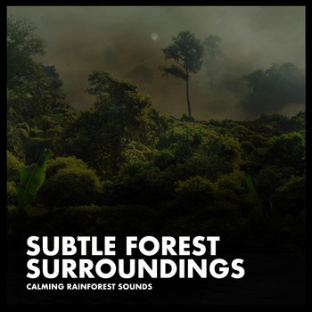 Calming Rainforest Sounds - Subtle Forest Surroundings