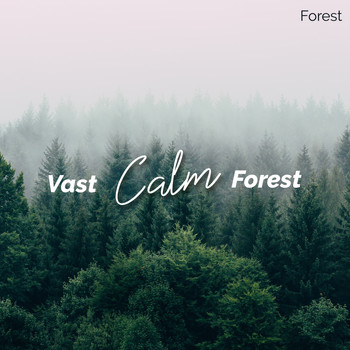 Forest - Vast Calm Forest