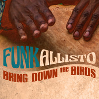 Funkallisto - Bring Down the Birds (Funk Cover)