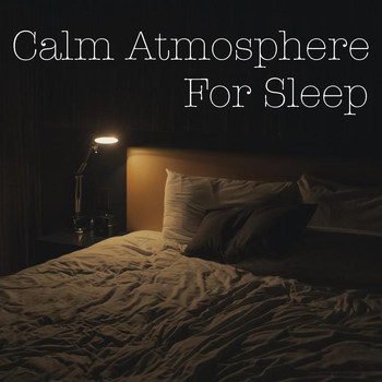 Various Artists - Calm Atmosphere For Sleep