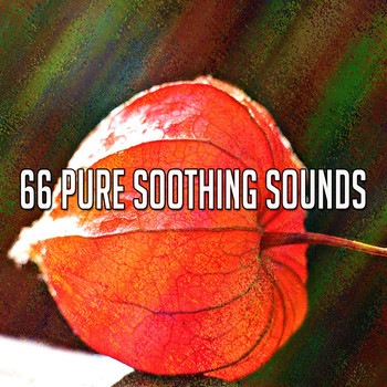 Yoga - 66 Pure Soothing Sounds