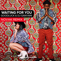 GoodLuck & DJ Ganyani - Waiting For You (Novak Remix)