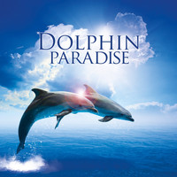 Global Journey - Dolphin Paradise (With Nature Sounds for Relaxation)