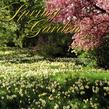 Dan Myers & George Jamison - Spring Garden