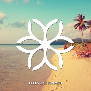 Unknown Artist - SUMMER001 - Feels Like Summer