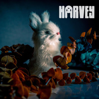 Harvey - Animals
