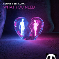Runnit - What You Need (feat. Bel Cuda)
