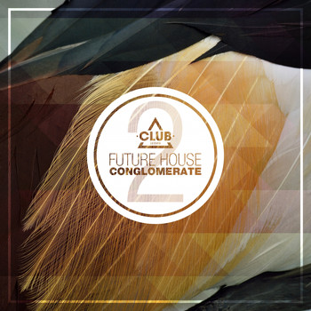 Various Artists - Future House Conglomerate, Vol. 2