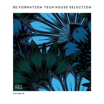 Various Artists - Re:Formation, Vol. 39 - Tech House Selection