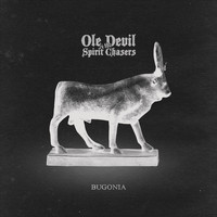 Ole devil & the Spirit Chasers - Bugonia