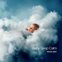 Grass Seed - Baby Sleep Calm