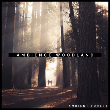 Ambient Forest - Ambience Woodland