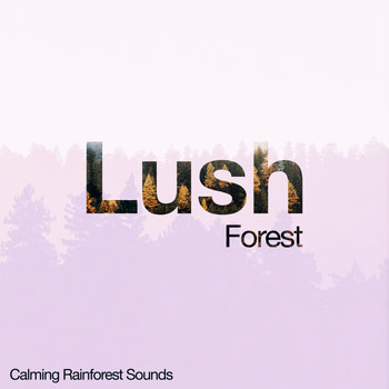 Calming Rainforest Sounds - Lush Forest