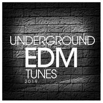 Various Artists - Underground EDM Tunes 2019