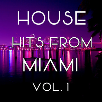 Various Artists - House Hits from Miami, Vol. 1