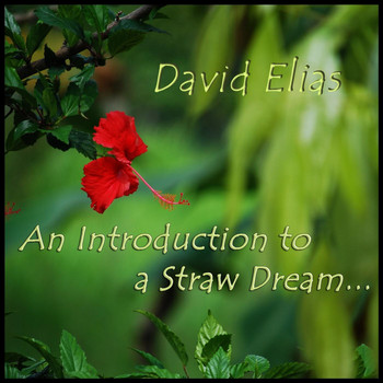 David Elias - An Introduction to a Straw Dream (feat. John Caulfield & Chris Kee)