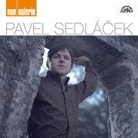 Pavel Sedláček - Pop Galerie