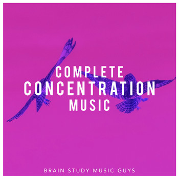 Brain Study Music Guys - Complete Concentration Music