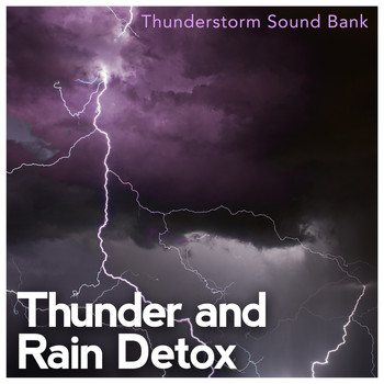 Thunderstorm Sound Bank - Thunder and Rain Detox