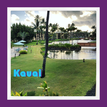 Record Skip - Kauai