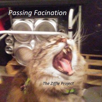 The Ziffle Project - Passing Facination.