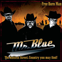 Mr. Blue - Free Born Man