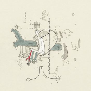 Various Artists - Tiny Changes: A Celebration of Frightened Rabbit's 'The Midnight Organ Fight' (Explicit)