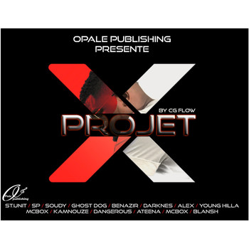 Various Artists - Projet X