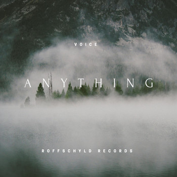 Voice - Anything