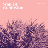 Fellini Felin - Wall of Confusion