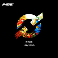 DJ Burlak - Guly Down
