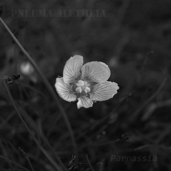 Pneuma Aletheia - Parnassia