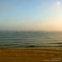 Blossom - Terra Incognita