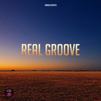 Various Artists - Real Groove