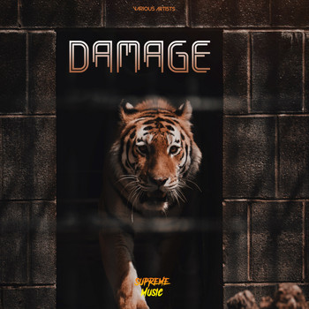 Various Artists - Damage