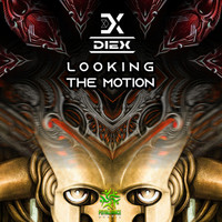 Diex - Looking The Motion