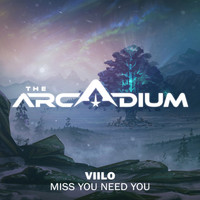 Viilo - Miss You Need You