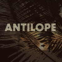 Antilope - Antilope