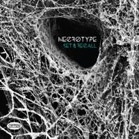 Necrotype - Set & Recall