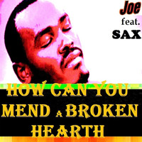 Joe - HOW CAN YOU MEND A BROKEN HEART (Live)