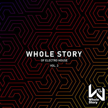 Various Artists - Whole Story Of Electro House Vol. 3