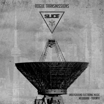 Various Artists - Rogue Transmissions