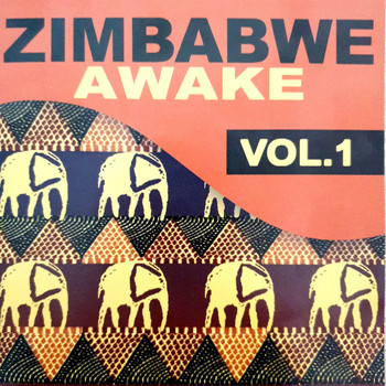Various Artist - Zimbabwe Awake Vol.1