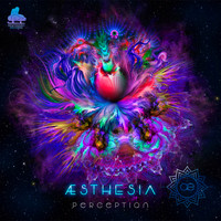 Aesthesia - Perception