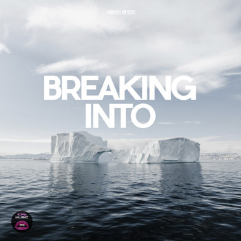 Various Artists - Breaking Into